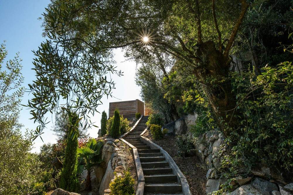 Escalier de pierre menant à une résidence de luxe entourée de végétation méditerranéenne